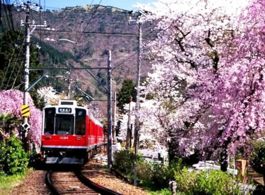 Forest Villa Hakone Exteriér fotografie